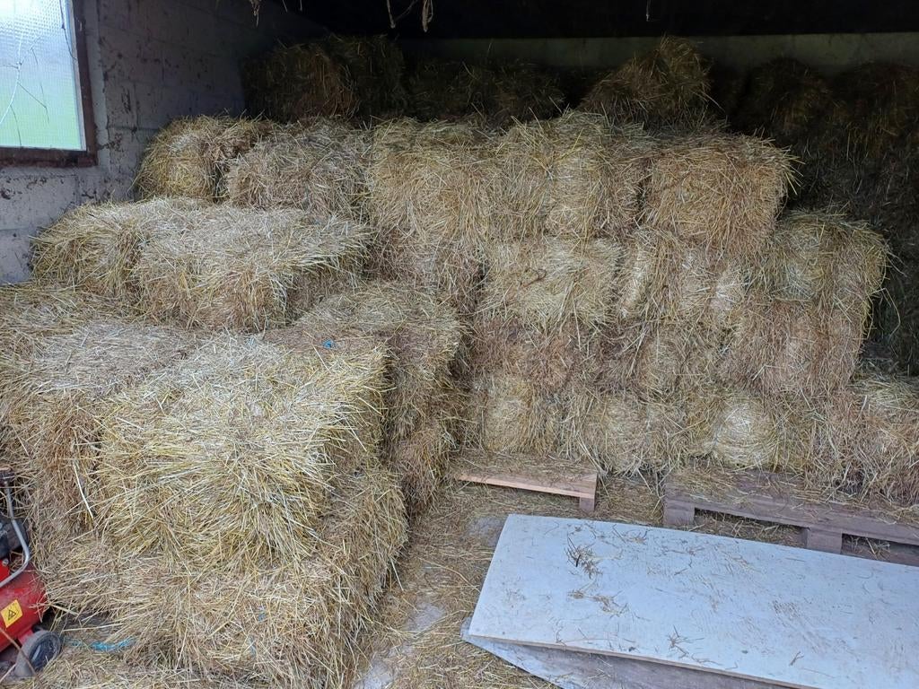 Petits ballots de foin, Enlèvement