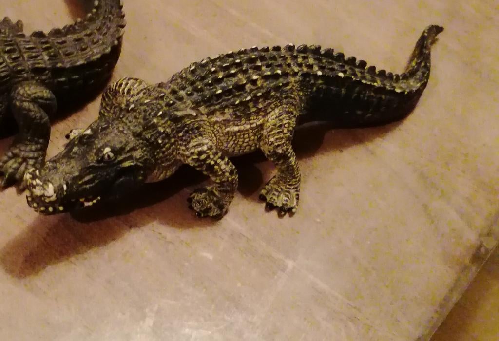 Schleich krokodil, Envoi