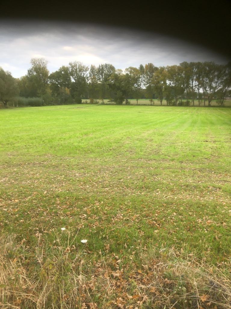 Weide te koop, Immo, 1500 m² of meer