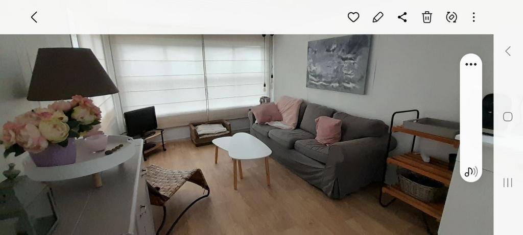 Bungalow à la mer, Propriétaire, Parc de loisirs, Anvers et Flandres, 4 personnes