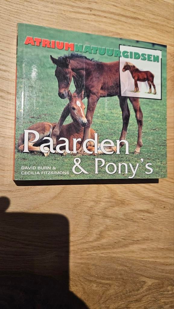 D. Burn - Atrium natuurgids: Paarden & Pony's, Enlèvement ou Envoi, Comme neuf, D. Burn; C. Fitzsimons