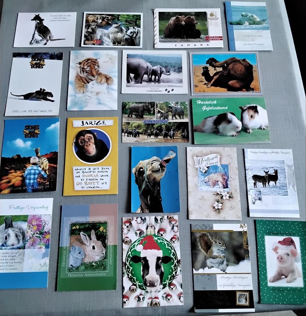 Cartes postales (20) avec divers animaux, oiseaux, ..., Collections, Enlèvement ou Envoi, 1980 à nos jours, Autres