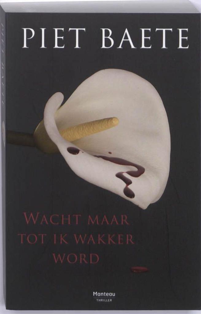 Piet BAETE - Wacht maar tot ik wakker word, Boeken, Ophalen of Verzenden, Zo goed als nieuw, België