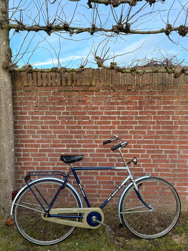 Gazelle herenfiets, Enlèvement, Utilisé, Gazelle, Vitesses