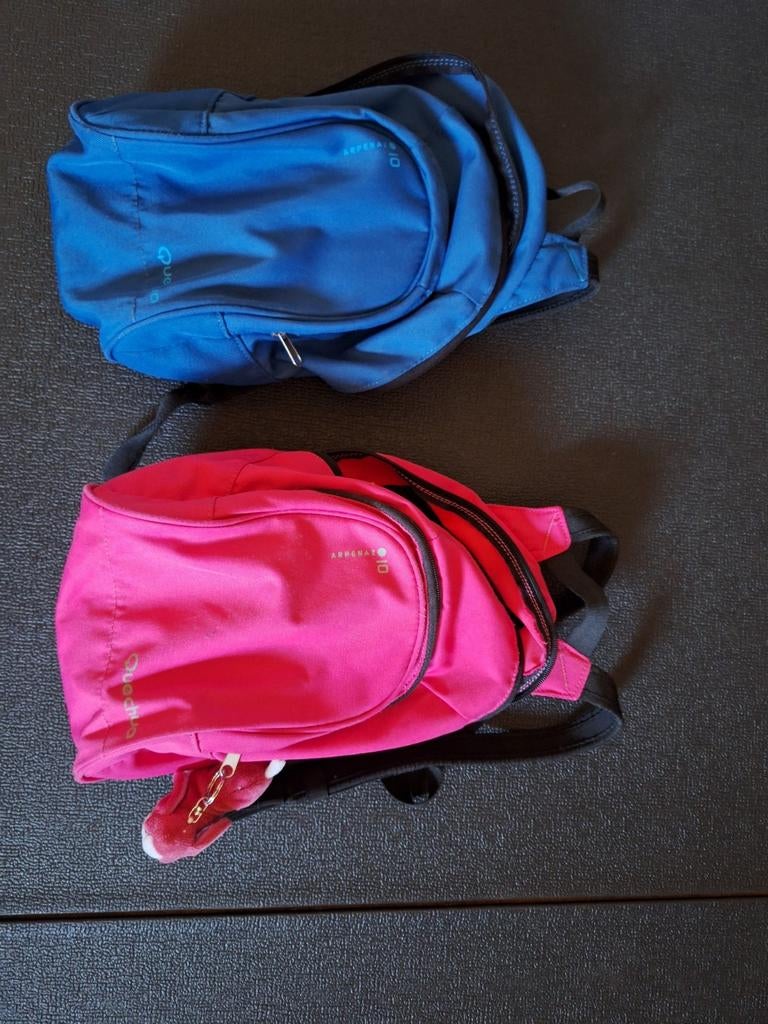 Rugzakjes quechua, Handtassen en Accessoires, Tassen | Rugtassen, Ophalen, Gebruikt