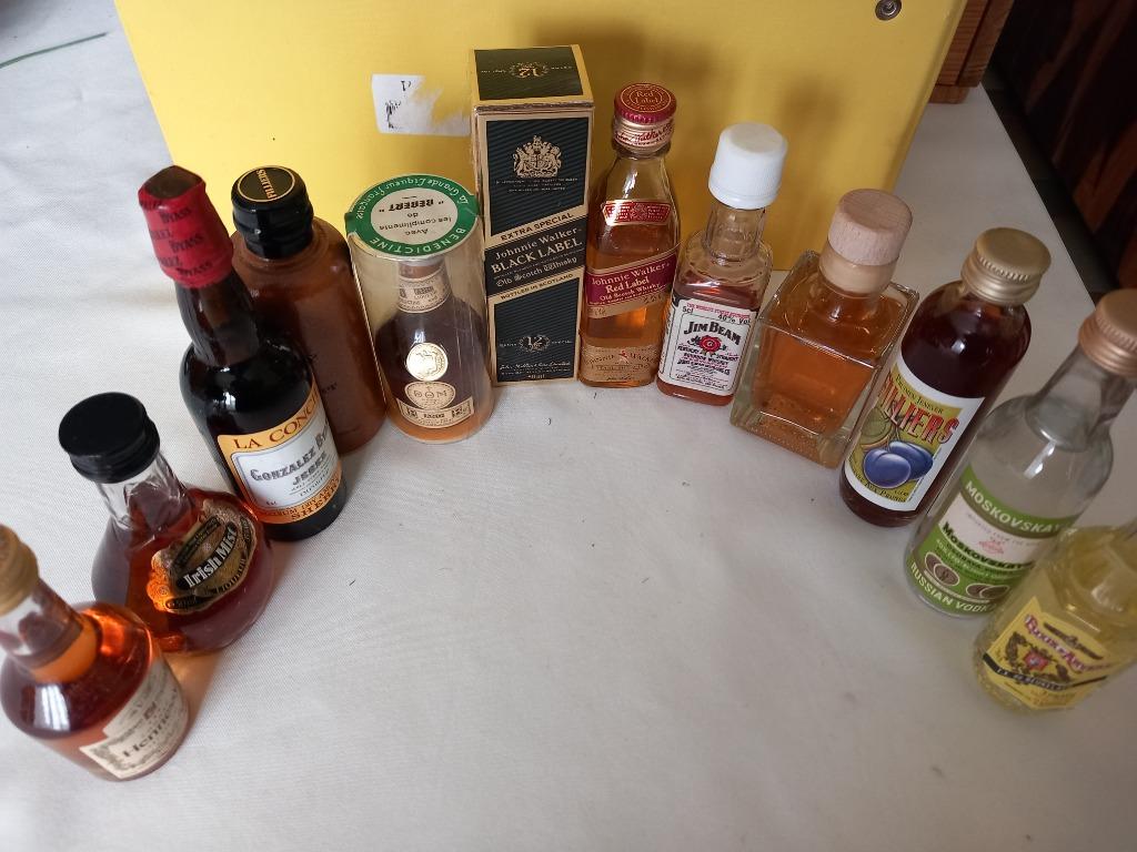 collection de mini bouteilles d'alcool, Collections, Collections complètes & Collections, Enlèvement