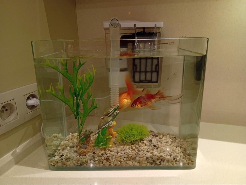Mooi aquarium met filterpomp, Animaux & Accessoires, Poissons | Aquariums & Accessoires, Enlèvement