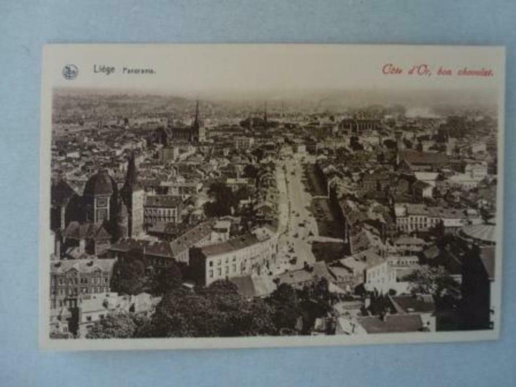 Luik  Liège Panorama Côte d'Or Nels Ern. Thill Bruxelles, Verzenden, Ongelopen, Luik