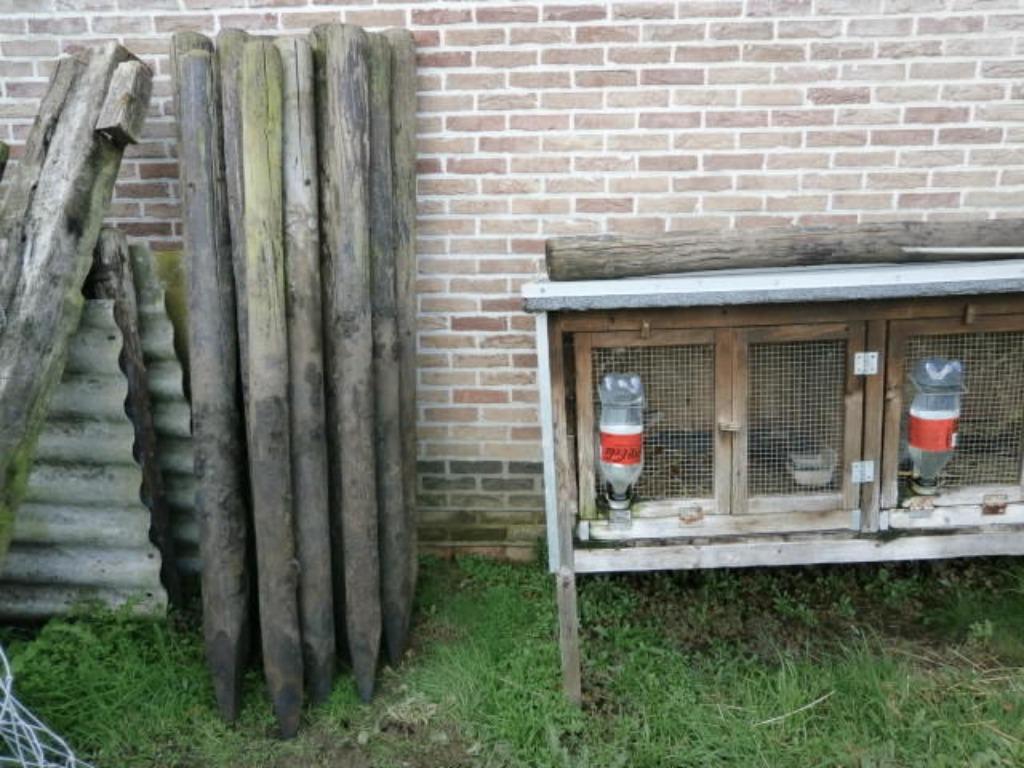 houten palen, Ophalen, Gebruikt, 180 tot 250 cm, Palen