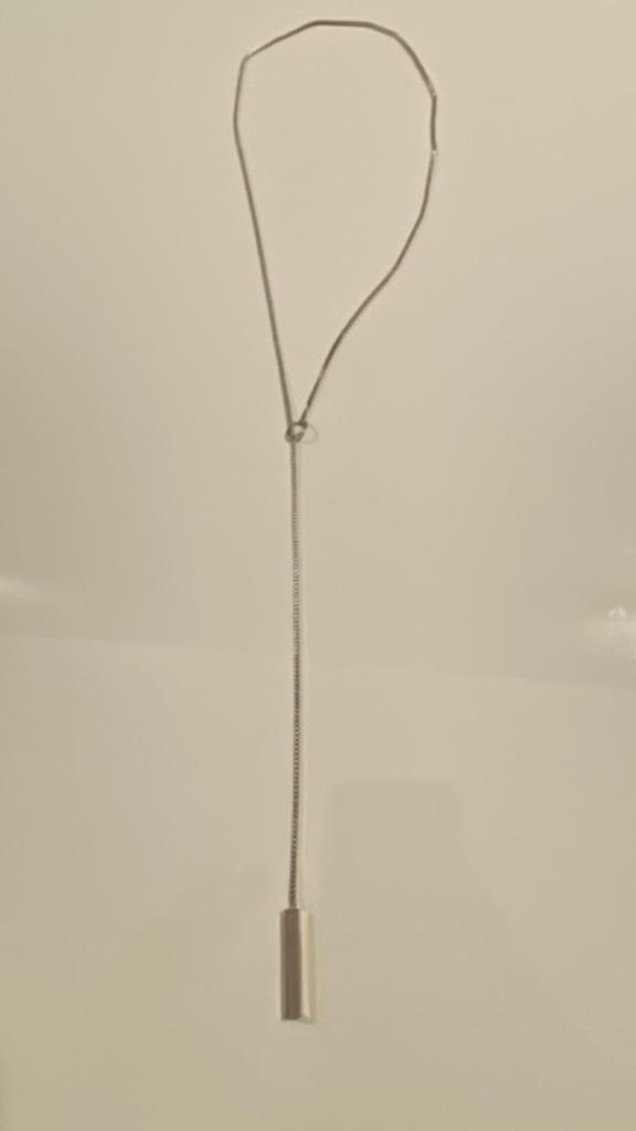 Zilverkleurige halsketting met hanger, Bijoux, Sacs & Beauté, Colliers, Neuf, Enlèvement ou Envoi, Avec pendentif, Synthétique