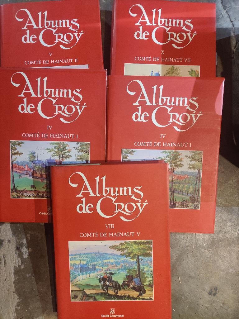 Albums de Croÿ, Enlèvement, Comme neuf