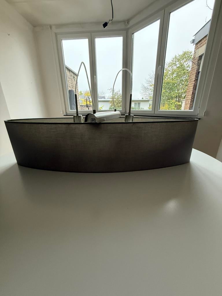 Lampe elliptique gris souris, Enlèvement, Utilisé, Scandinave, 50 à 75 cm