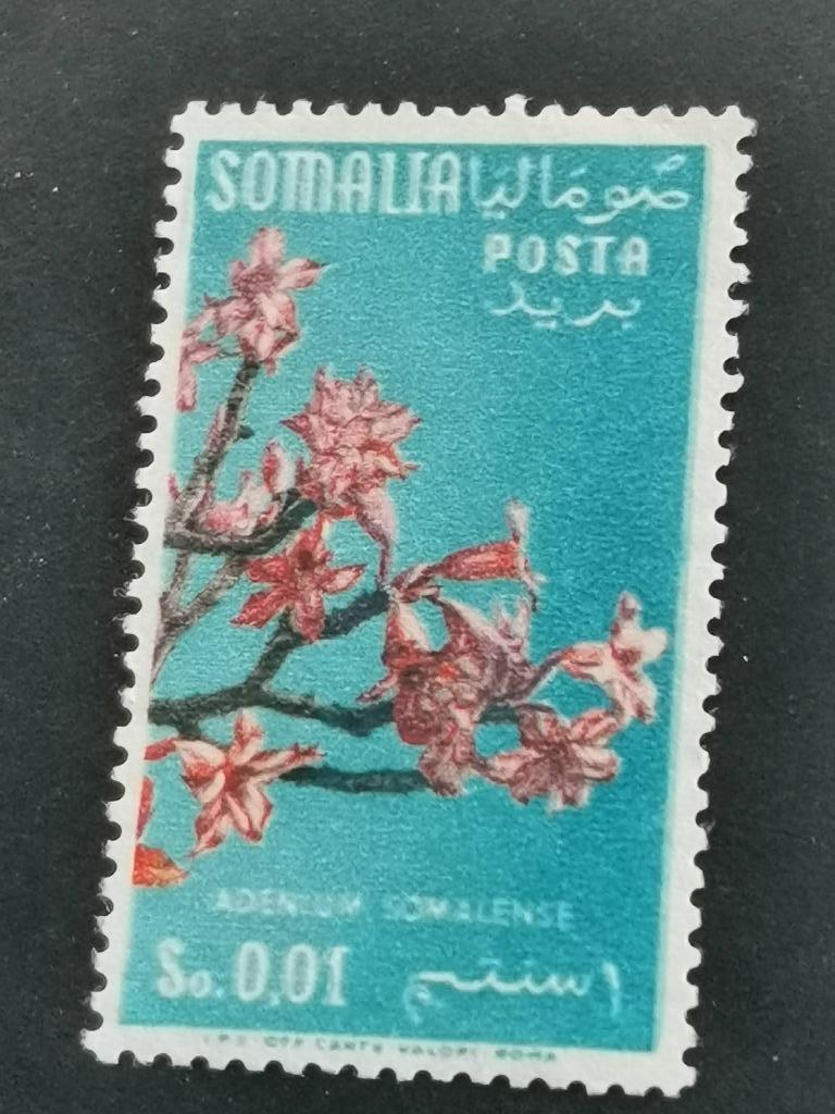 Italiaans mandaat in Somalie 1955 - bloemen - succulent, Ophalen of Verzenden, Overige landen, Gestempeld