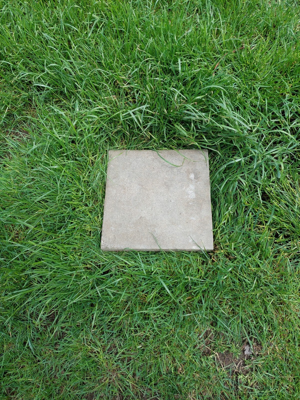 Terrastegels nieuw, 30 stuks, Tuin en Terras, Ophalen, Terrastegels