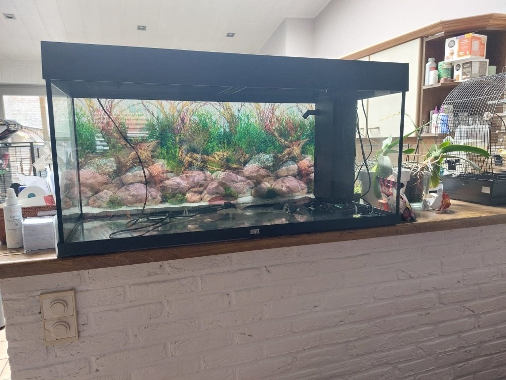 Aquarium 180 liters, Enlèvement, Chauffage, Utilisé, Aquarium vide