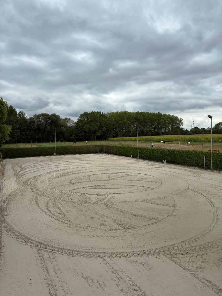 Stal te huur - half pension basis in Zemst, Dieren en Toebehoren, Stalling en Weidegang, Weidegang, 1 paard of pony