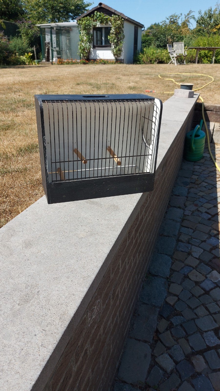 cages d'exposition d'oiseaux