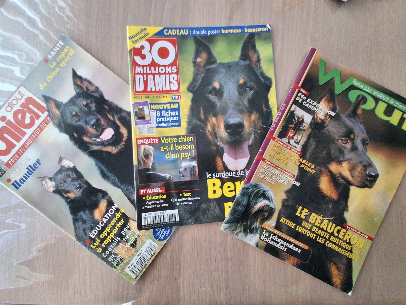 Lot de 3 magazines sur
le Berger de Beauce ou Beauceron, Boeken, Ophalen, Gelezen