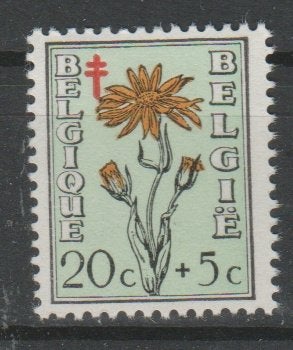 Belge 1949 - n 814 **, Envoi, Neuf