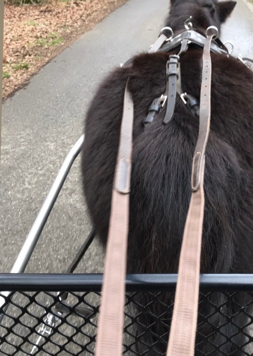 Mentuig shetlander, Dieren en Toebehoren, Paarden en Pony's | Hoofdstellen en Tuigage, Ophalen, Shetlander, Gebruikt, Mentuig