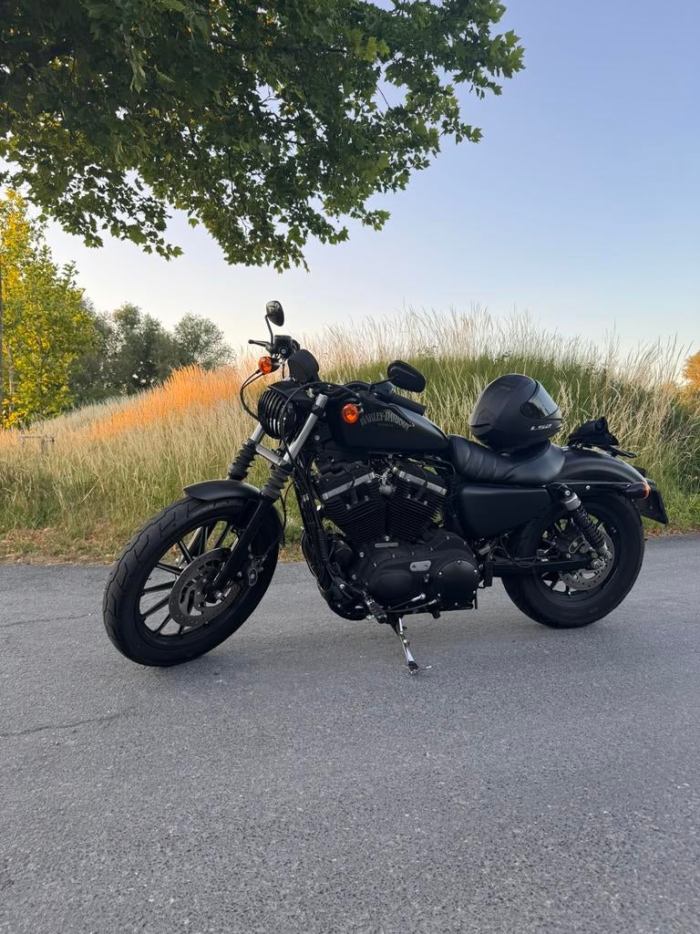 Harley Davidson Sportster XL Iron 883 staat op a2, 2 cilinders, 883 cc, Particulier, Overig