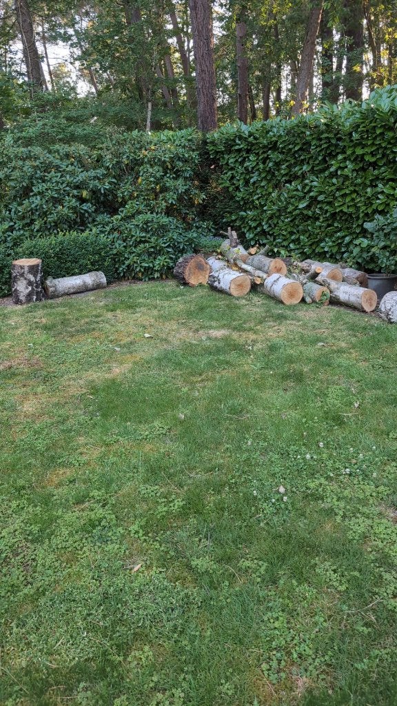 gratis brandhout op te halen, Tuin en Terras, Brandhout, Minder dan 3 m³, Ophalen, Berkenhout, Blokken