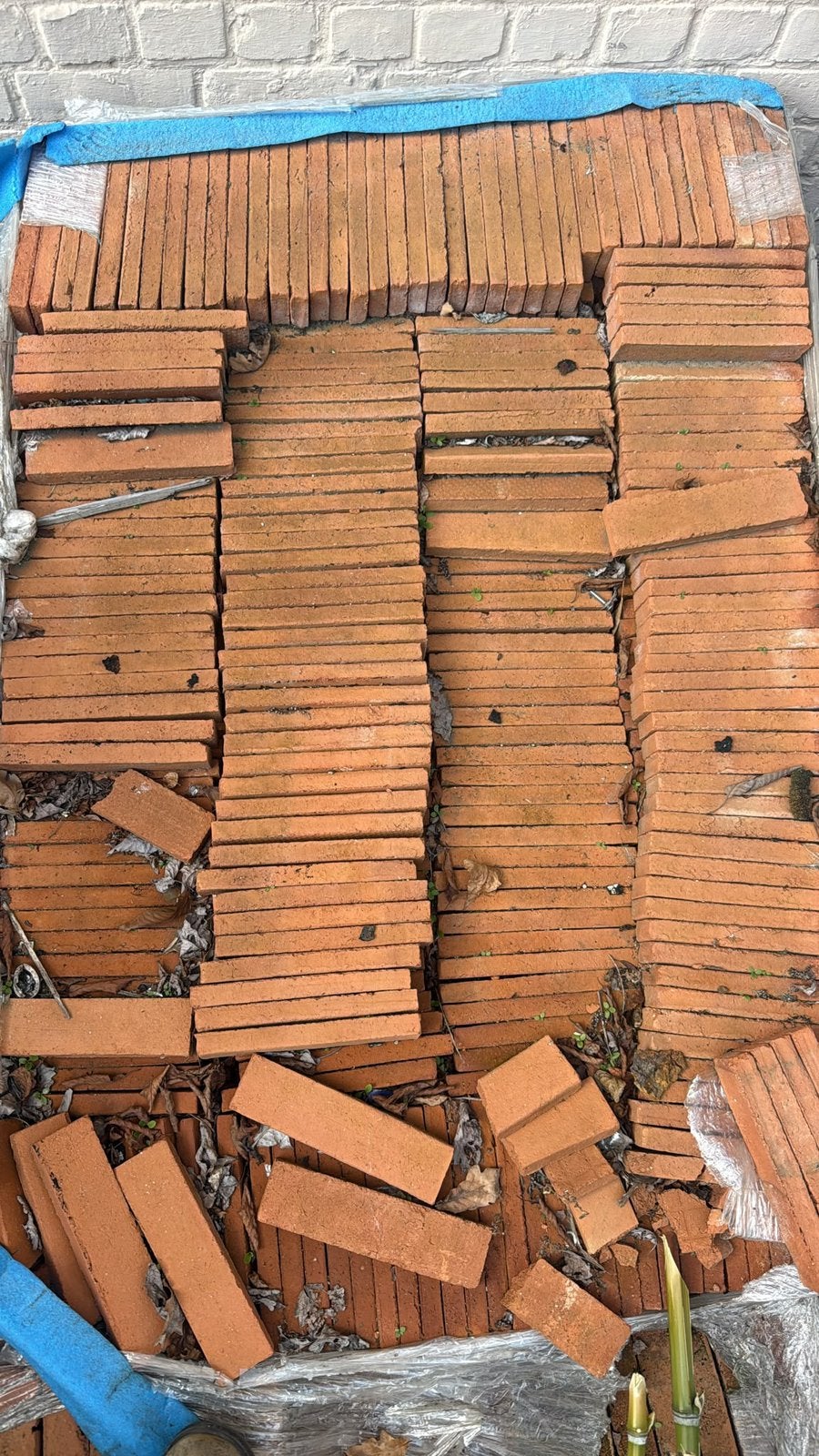 Terracotta tegels – partij, Doe-het-zelf en Bouw, Ophalen, Zo goed als nieuw, Vloertegels