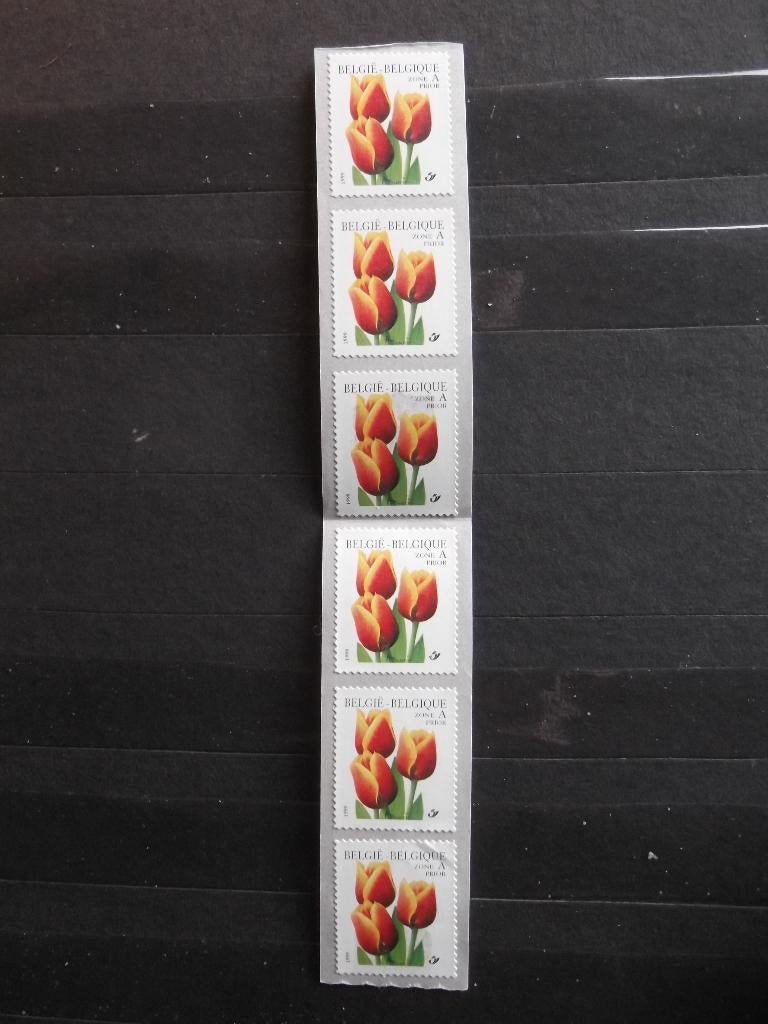 R93 (2855) Tulp Triomf - Tulipe Triomphe, Ophalen of Verzenden, Postfris, Frankeerzegel