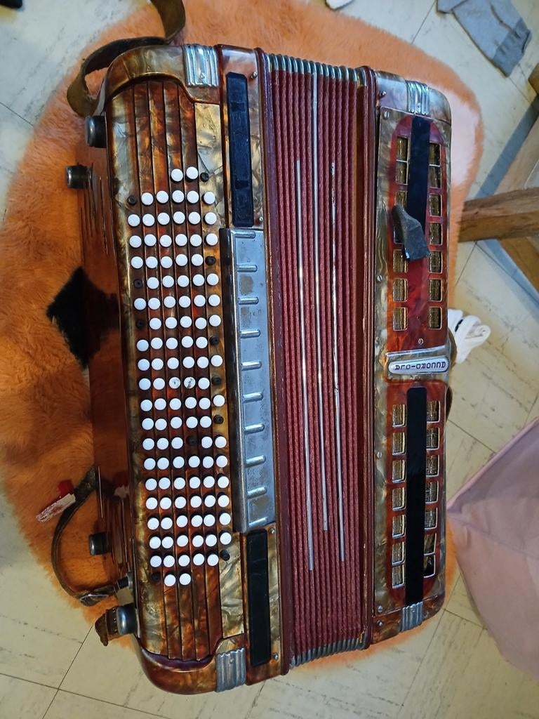Accordiola, Musique & Instruments, Accordéons, Utilisé, Accordéon à boutons, Autres formats, Accordiola, Enlèvement
