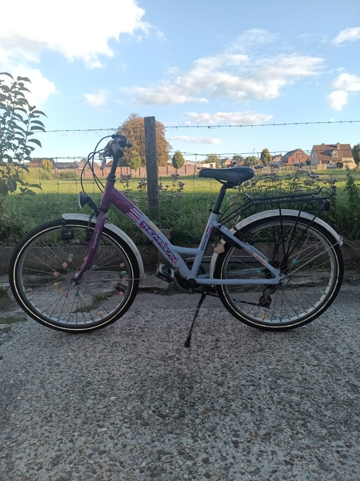 Meisjesfiets Thomson Fiori, Ophalen, Gebruikt, Velgrem, Versnellingen