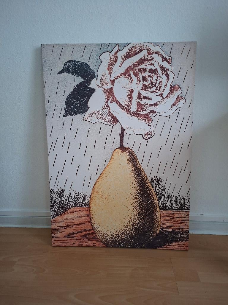 canvas, Enlèvement
