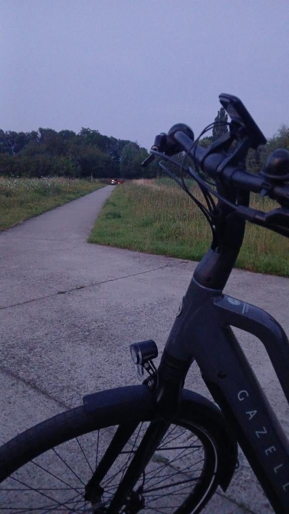 Elekrische damesfiets (Gazelle), Fietsen en Brommers, Ophalen of Verzenden, Gazelle