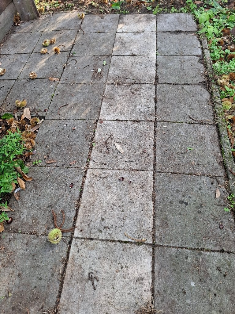 gratis op te halen: dals 40 cm x 40 cm en boordstenen., Ophalen, Gebruikt, Overige materialen, Terrastegels