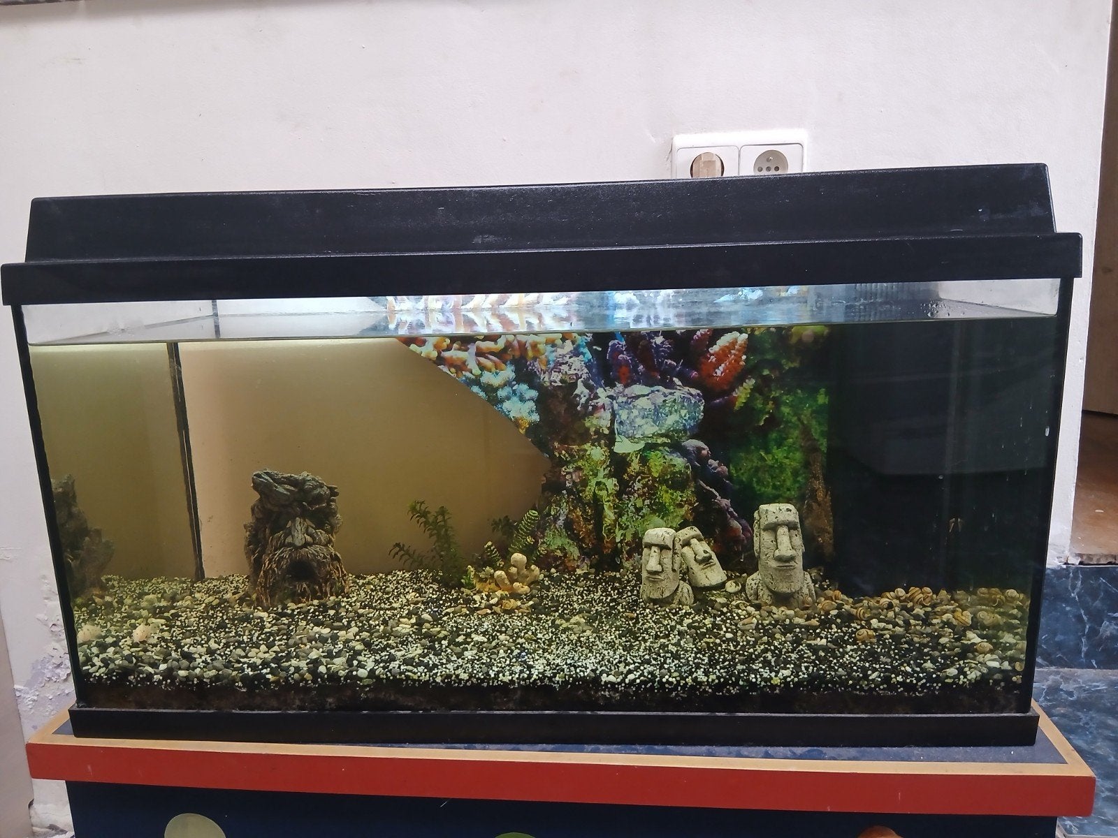 Compleet aquarium (81x46 cm) – incl visjes, Animaux & Accessoires, Poissons | Aquariums & Accessoires, Decoratie, Pompe, Enlèvement