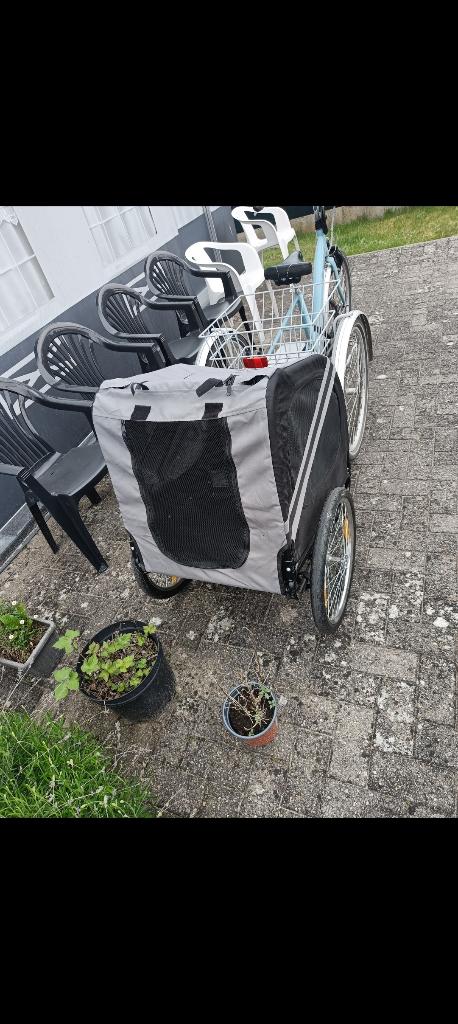 Fietskar hond, Ophalen, Zo goed als nieuw, 60 tot 80 kg, Opvouwbaar