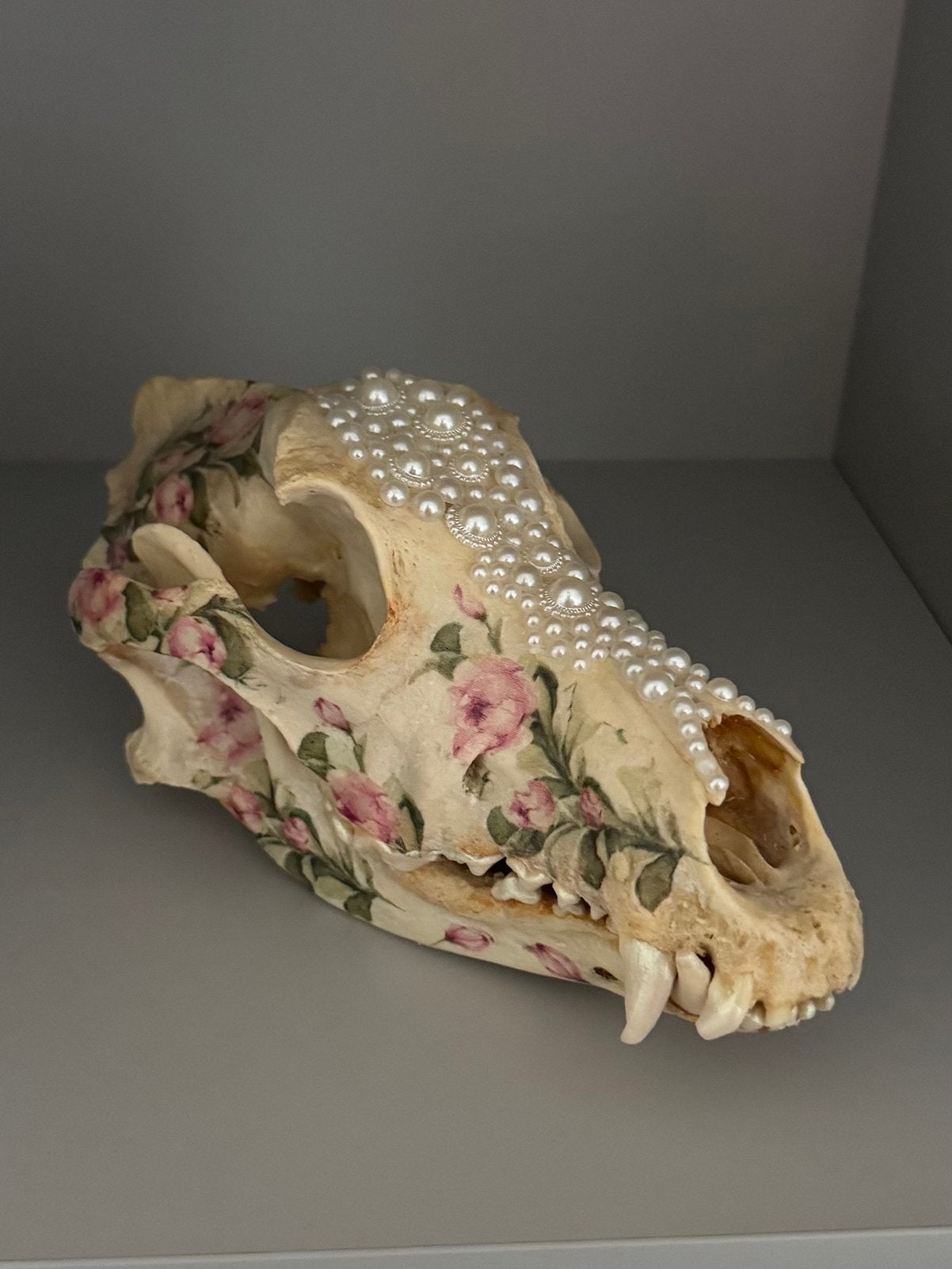 Herdershond skull, Ophalen of Verzenden, Nieuw, Dier