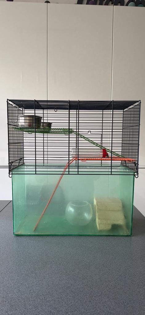 Cage pour gerbilles/petits rongeurs, Enlèvement, Utilisé, Cage