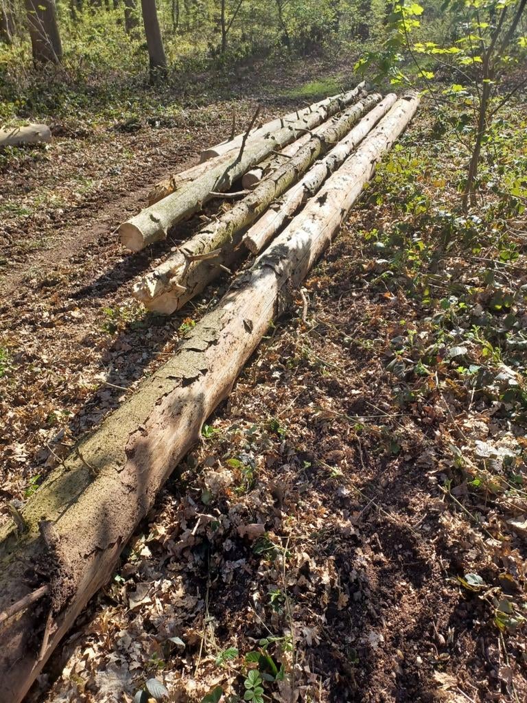 Bûches, bois de chauffage, Enlèvement