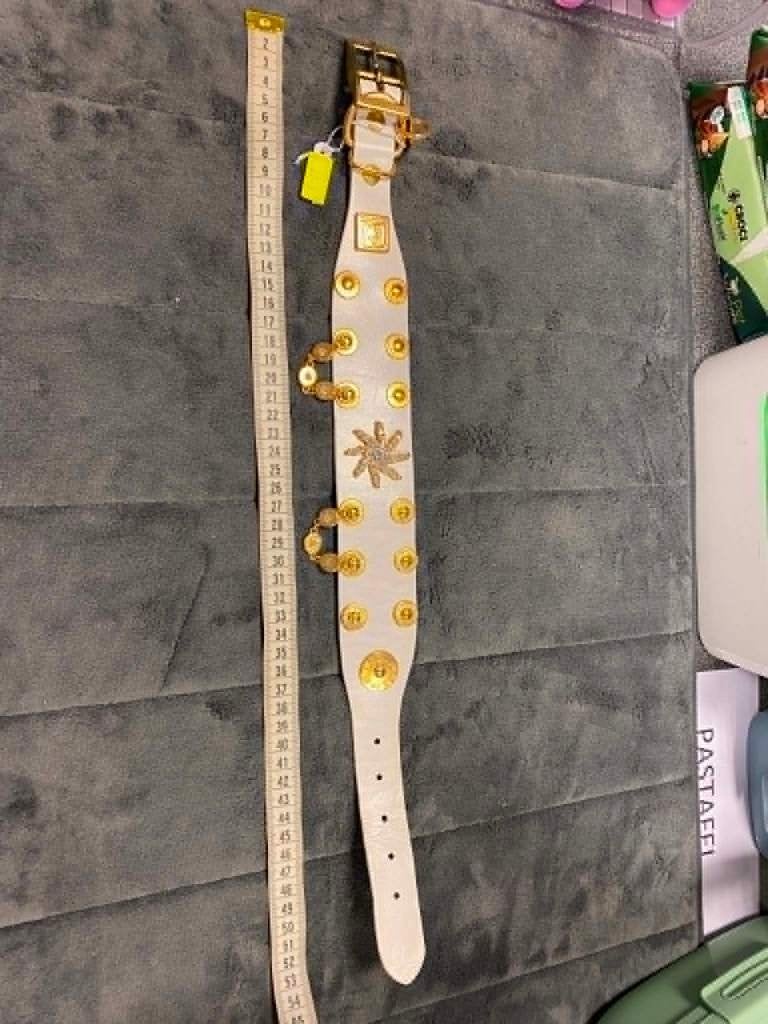 Luxe halsband aan outletprijsje !, Dieren en Toebehoren, Hondenhalsbanden en Penningen, Ophalen of Verzenden, Nieuw
