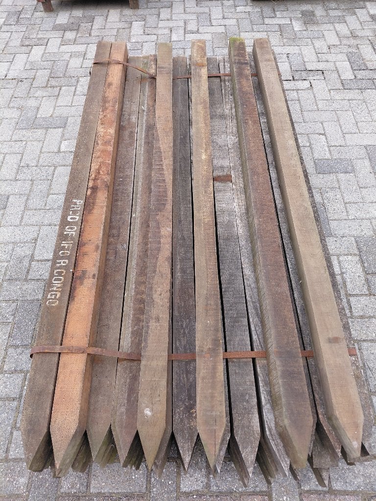 Azobepaal gepunt 2 meter