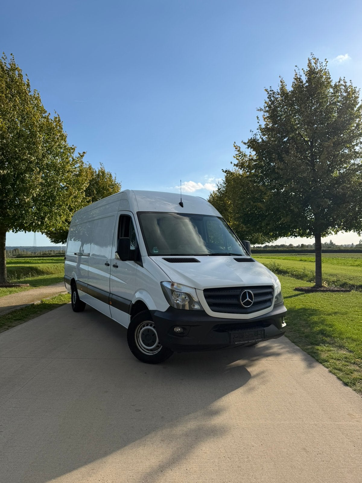 Mercedes Sprinter 316cdi - Euro 6 - Maxi, Autos, Camionnettes & Utilitaires, Achat, Euro 6, Boîte manuelle, Noir