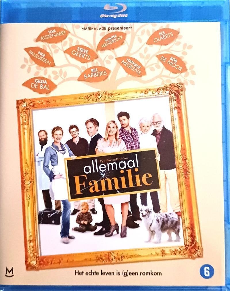 blu ray ALLEMAAL FAMILIE  GILDA DE BAL TOM OUDENAERT, CD & DVD, Enlèvement ou Envoi, Comme neuf