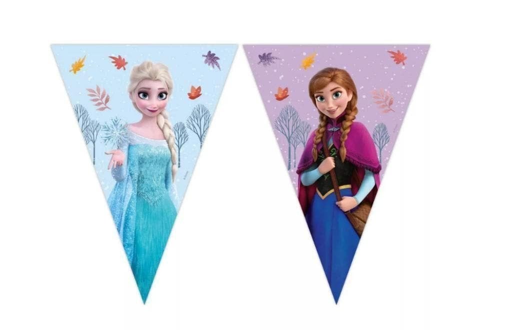 Disney Frozen feestartikelen / Versiering Verjaardag Feest, Enlèvement ou Envoi, Neuf, Article de fête