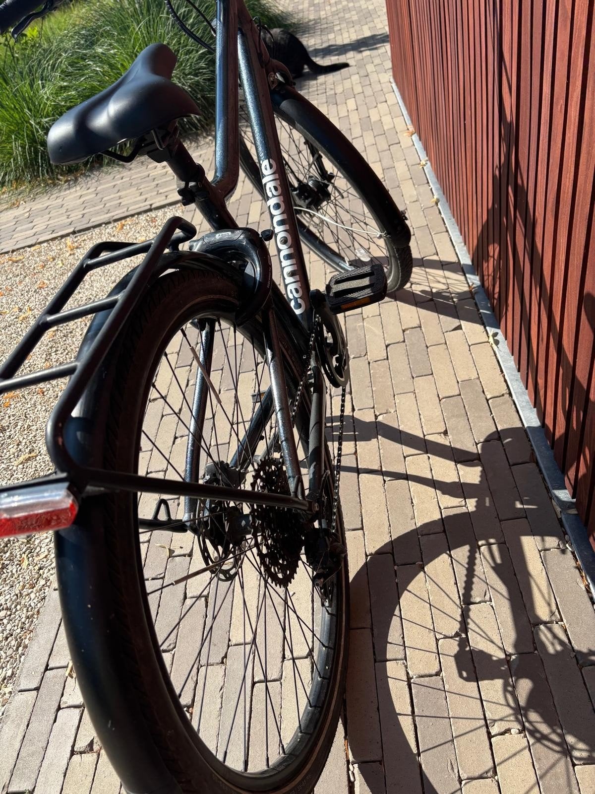 BIKE Cannodale, âge : 13 ans, Enlèvement