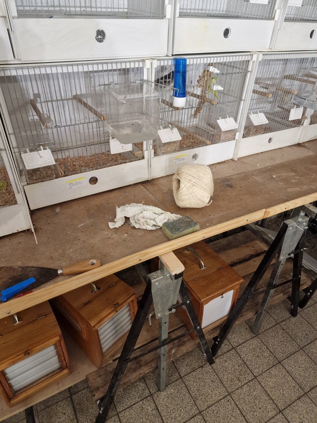 1botvink, Dieren en Toebehoren, Ophalen