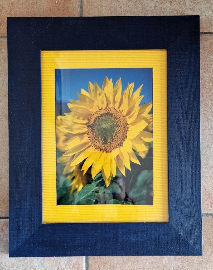Magnifique tournesol, Enlèvement, Encadré