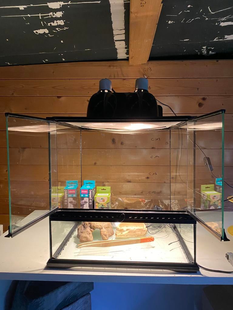 Exo terra 45x45x45 met benodigheden, Dieren en Toebehoren, Ophalen, Zo goed als nieuw, Terrarium of Paludarium