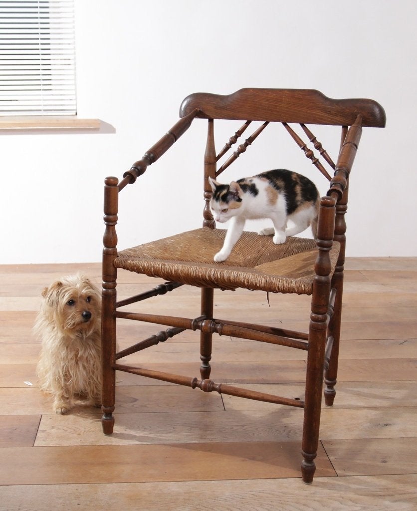 Rare fauteuil hollandais ancien en chêne et jonc, Enlèvement