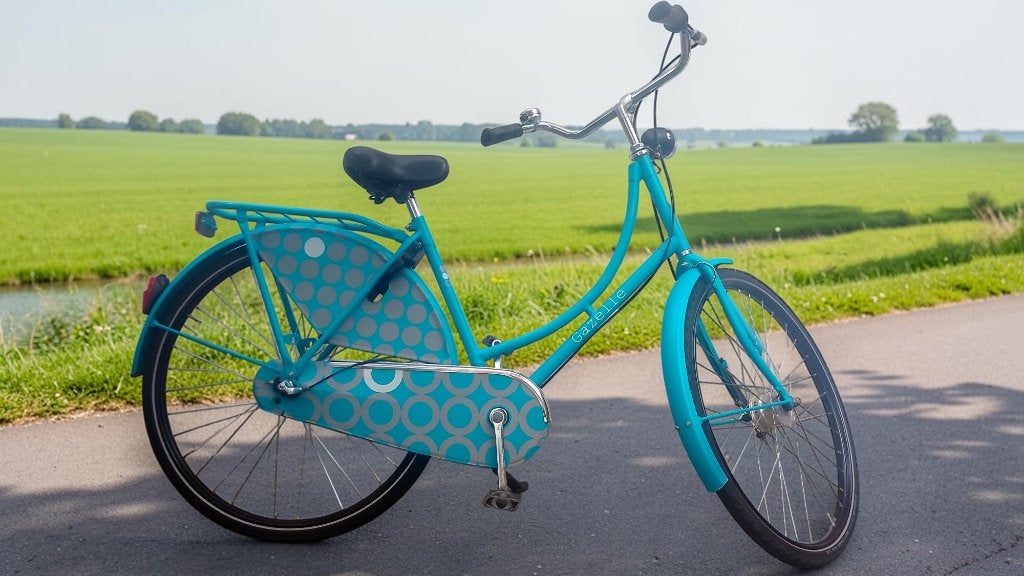 Gazelle Classic (omafiets) 3 versnellingen, Fietsen en Brommers, Fietsen | Dames | Damesfietsen, Ophalen, 53 tot 56 cm, Versnellingen