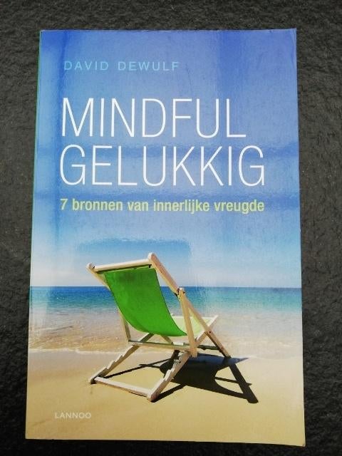 Mindful gelukkig door David Dewulf., Boeken, Ophalen of Verzenden, Zo goed als nieuw